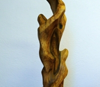 17 Evolúcia, jabloň, 71 cm