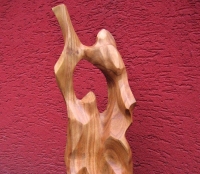 13 Vinobranie, čerešňa, 50 cm, 2014