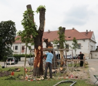 06_vseradice_2015
